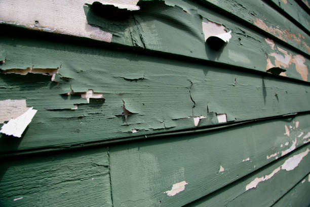 Best Brick Veneer Siding  in Kingston, NJ