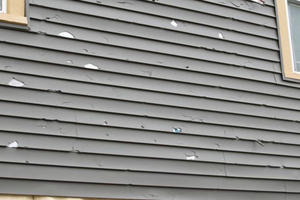 Best Aluminum Siding Installation  in Kingston, NJ
