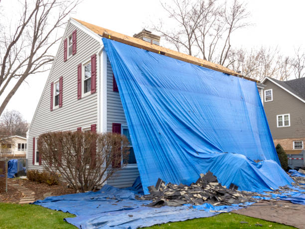 Best Fiber Cement Siding Installation  in Kingston, NJ